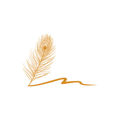 feather isolated on white background