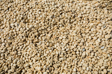 Background of a pile of Coffee berrie beans driedd up