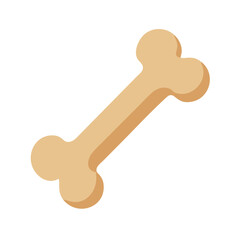  Ancient Bone Icon for Historical Themes