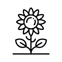Sunflower outline drawing vector illustration, summer flower, floral design, garden plant, nature icon art