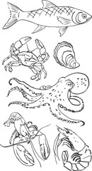 A set of seafood in the hand-painted style. Fish, octopus, shrimp, lobster and mussels.