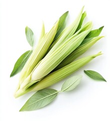 Obraz premium Fresh Green Corn with Leaves and Sage on White Background