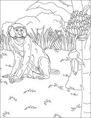 Monkey animal coloring page for adult vector