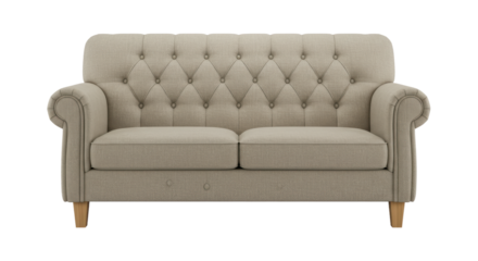 Isolated Two Seater Sofa with Tufted Back