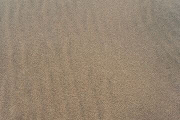 Sand texture, summer beach natural background, top down view 