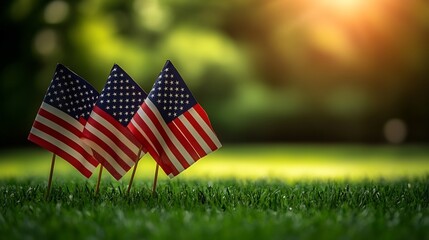 Patriotic display of three American flags in natural grass with bokeh backdrop