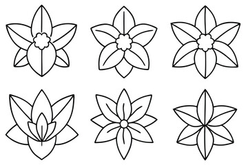 Daffodil Leaf Line Art Elegant Drawing for Floral Illustration Design 