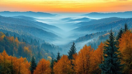 Obraz premium Autumn sunrise over misty mountain valley, colorful forest