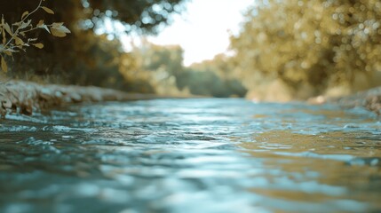 Fototapeta premium Close-up view of a shallow, flowing stream in a forest.