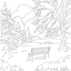 Fototapeta premium vector illustration of a forest