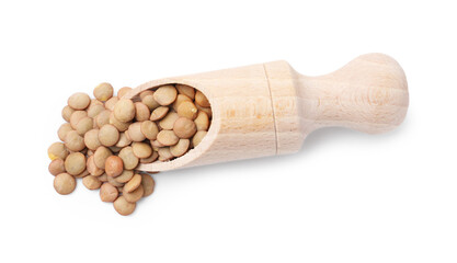 Raw lentils in wooden scoop isolated on white, top view