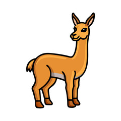 Cartoon guanaco illustration vector image for kids education and animal species identification learning material