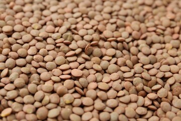 Raw brown lentils as background, closeup view