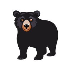 Illustration of a black bear wildlife animal standing with a cute face and brown muzzle vector image