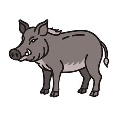 Illustration of a cute wild boar vector drawing for wildlife animal illustration design projects and clip art