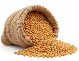Soybeans in sack isolated on white background.