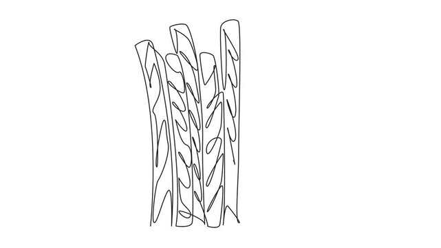 Animated self drawing of single continuous line drawing red licorice candy sticks. The sweet one that contains many benefit. Traditional cough. National Licorice Day. Full length single line animation