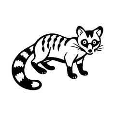 Vector graphic of a civet animal illustration, black and white drawing of a civet for print design