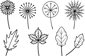 Dandelion Leaf Line Art Illustration Simple Design for Creative Artwork 