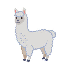 Fototapeta premium Cute white llama cartoon vector illustration alpaca animal drawing fluffy wool farm mammal south america pet art