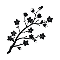 branch of a tree with berries