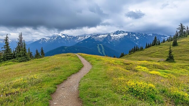 A storm rolling over Hurricane Ridge, with dark clouds hovering above snow-capped peaks