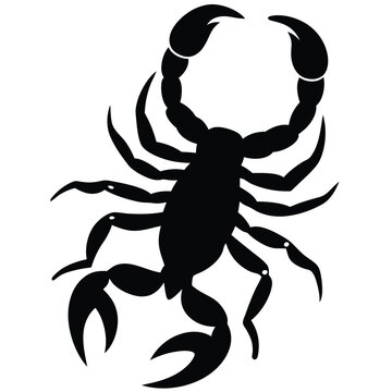 recommend clip art: Simple Vector Illustration Of A Black Scorpion Silhouette On A White Background.