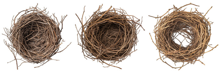 Obraz premium Triptych of intricate empty bird nests.