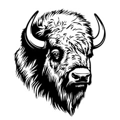 Detailed illustration of a bison head showcasing strong facial features with prominent horns, capturing the essence of wildlife and natural strength