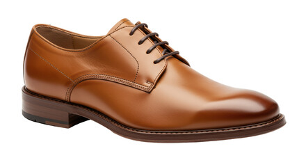 Isolated Elegant Brown Leather Oxford Shoe with Laces