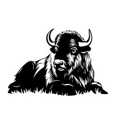 Black vector design of a bison resting on grass, showcasing detailed features and textures of the animal in a calm position