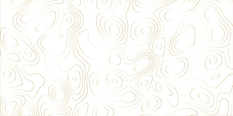 Fluid elevation linework in a seamless background inspired by terrain mapping

