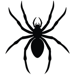 Black Spider Silhouette Arachnid Insect Isolated On White Background Vector Illustration.