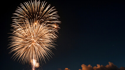 Fototapeta premium Golden fireworks illuminate the night sky
