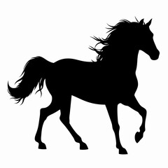 Obraz premium Big horse silhouette 