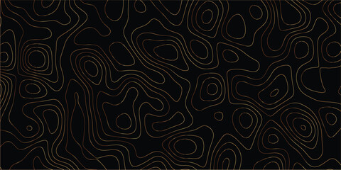 Natural mapping pattern with elevation contours in an abstract line background

