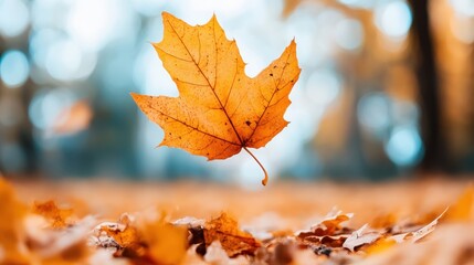 A stunning close-up of a vibrant orange leaf suspended above a bed of fallen leaves, capturing the essence of autumn's beauty and tranquility in nature's splendor.