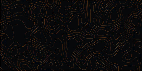 Abstract elevation-style design with continuous flowing lines in artistic mapping style

