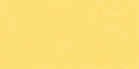 Abstract map lines in seamless pattern for elevation-style modern backgrounds   © ShadOw