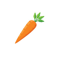 Carrot vector illustration with leaf isolated on white background