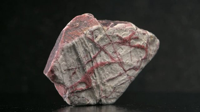 Septarian Nodule rough slice showing lines of red crystals (probably Aragonite) formed in the cracks in the rock
