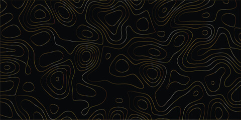 Fototapeta premium Minimalist pattern with topography-inspired abstract lines and modern styling