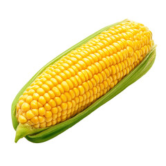 sweetcorn isolated on white