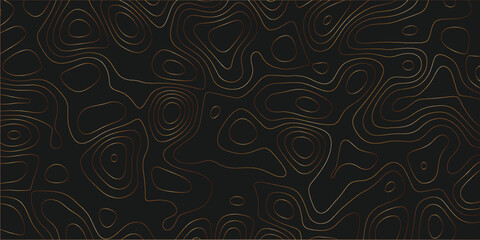 Creative map-inspired design with seamless topographic flow and texture

