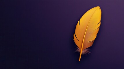 Fine yellow feather centered on a dark purple background