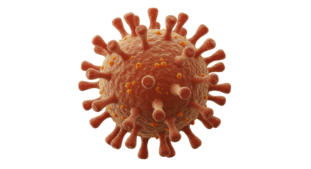 Isolated Coronavirus Molecule