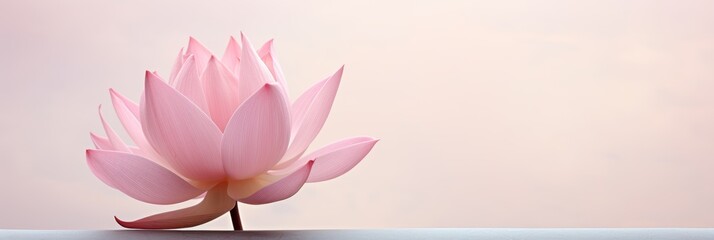 Fototapeta premium Stunning minimalist artwork a single flower against a simple white background highlighting details