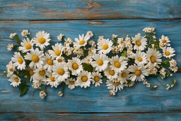 Obraz premium White daisies displayed on a rustic blue wooden plank background