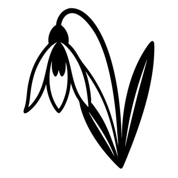 recommend clip art: Snowdrop black silhouette
