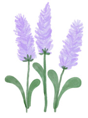 Obraz premium Minimal cute flowers 